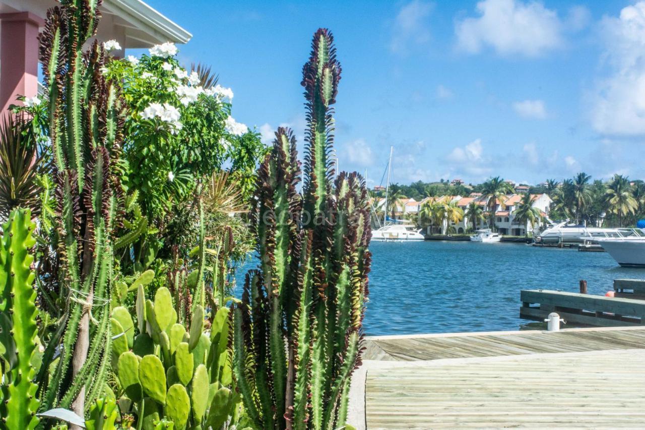 The Harbour Aparthotel Rodney Bay Bagian luar foto